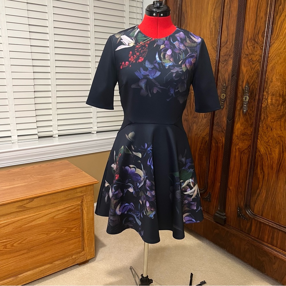 Ted Baker London Alephie Skater Dress - size 2 (US 4/6)